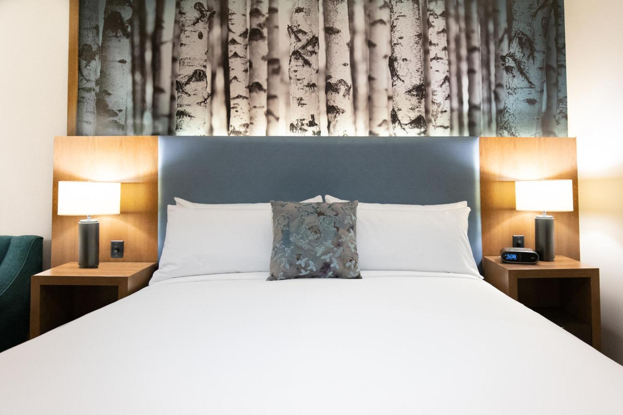 The Alder Hotel มอนติเซโล ภายนอก รูปภาพ